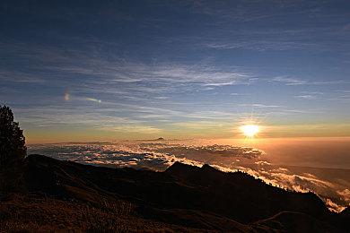 玩家显身手 PS官方分享《地平线：西之绝境》游戏抓拍